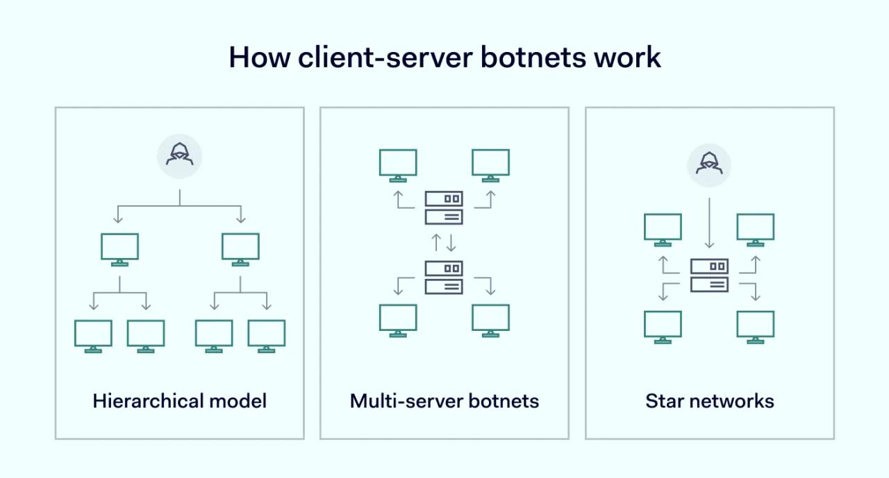 How client-server botnets work