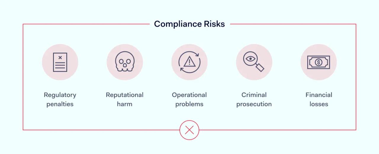 Regulatory compliance risks
