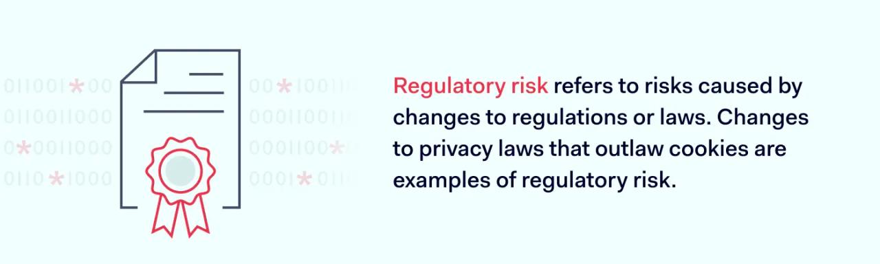 Regulatory risk definition